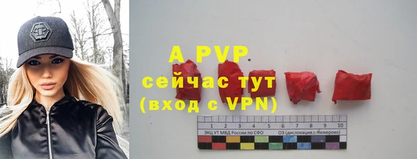 твердый Бронницы