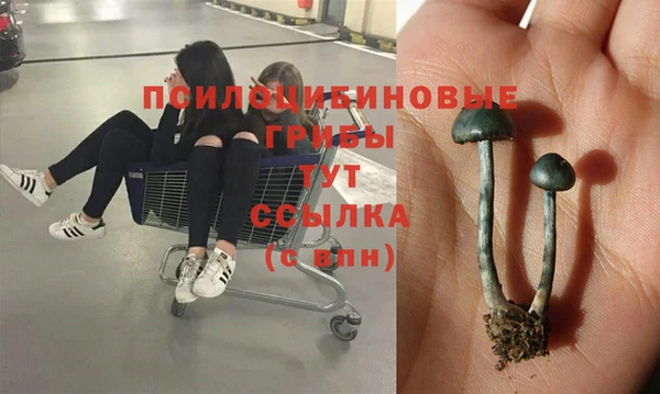 МДПВ Верея